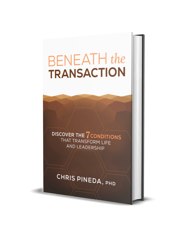 Beneath the Transaction Book Cover
