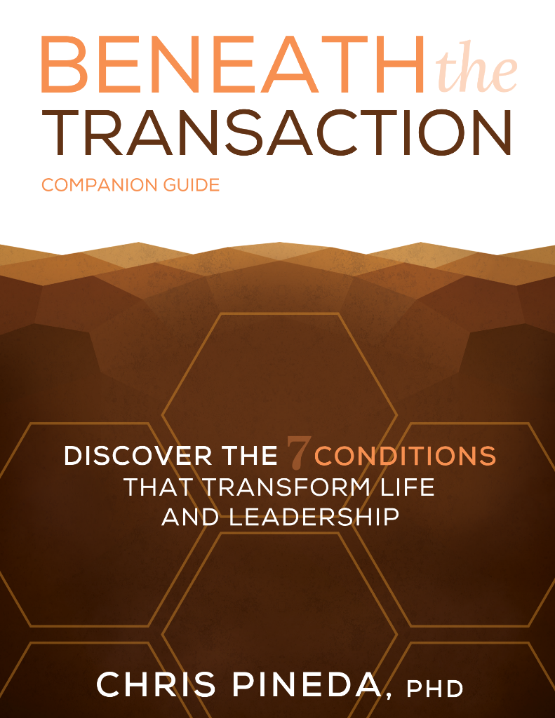 Beneath the Transaction Companion Guide